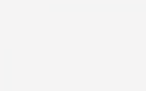 雷诺表价格及图片（雷诺表价格多少）